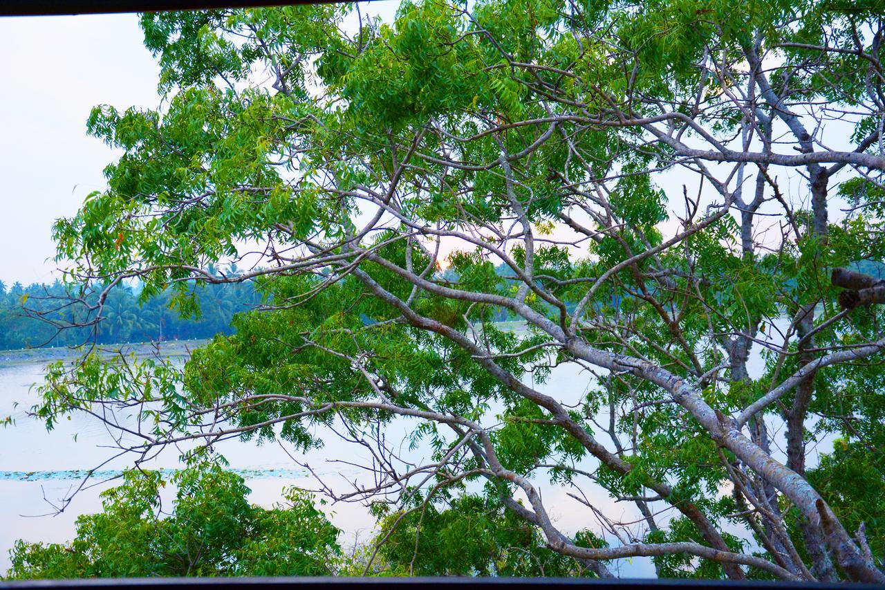 Diya Dahara Resort Yala Bagian luar foto